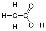 Bifidobacterium produce acetic acid