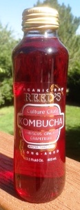 Reed's Kombucha