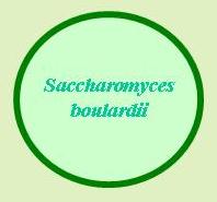 Saccharomyces boulardii is a probiotic yeast