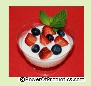 Yogurt can contain Lactobacillus acidophilus